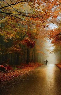 Я научу тебя любить